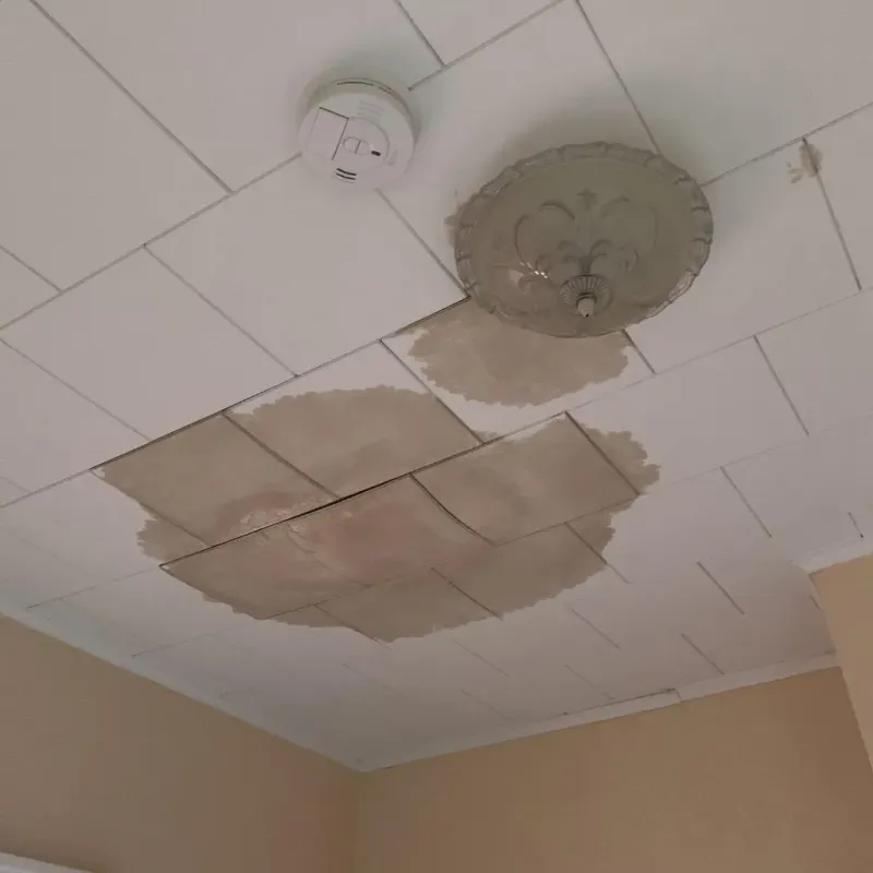 Ceiling Water Damage Repair in Orange, TX