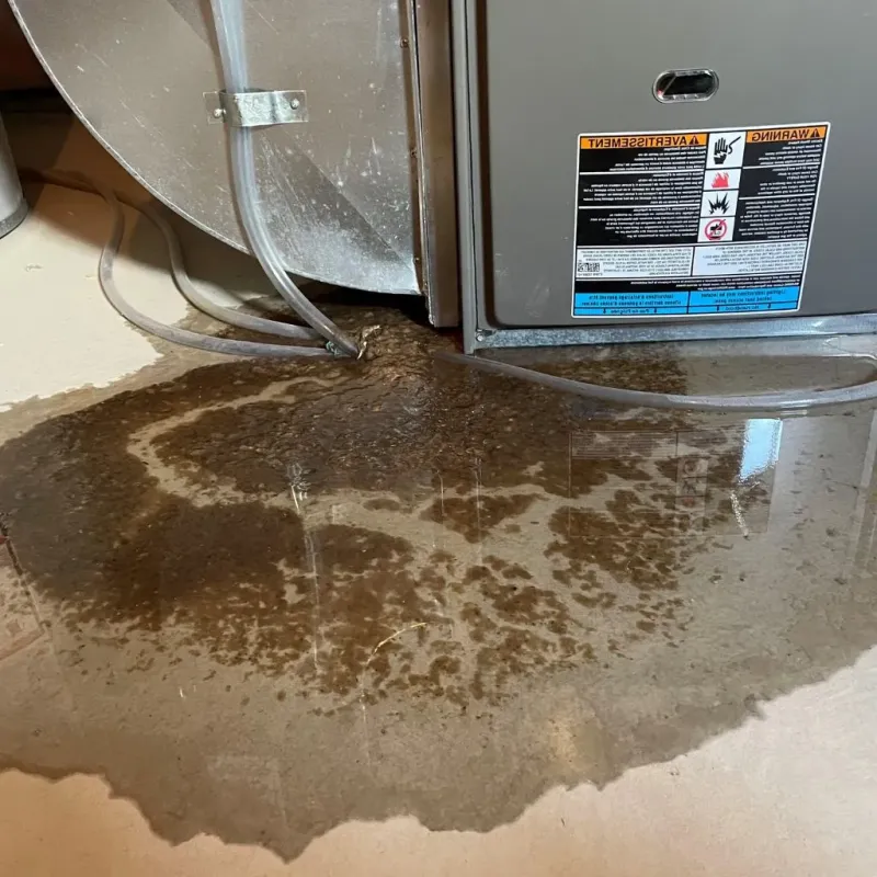 Pipe Burst and Leak Restoration in Orange, TX