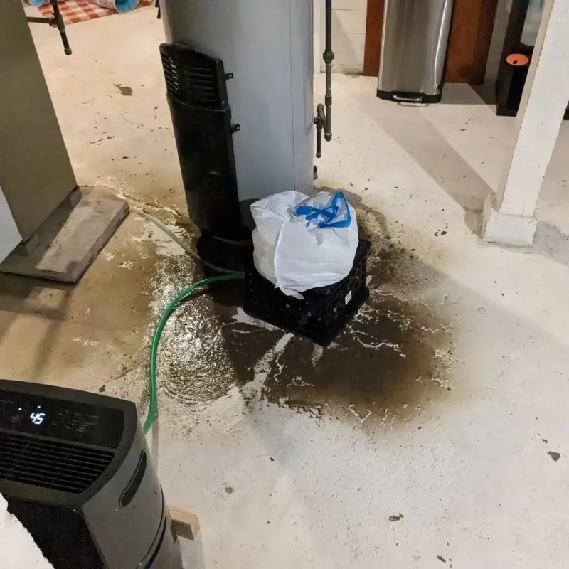 Sewage Backup Cleanup Service in Orange, TX